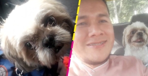 Chale: Taxista adopta a perrito que abandonaron en su carro con todo y nota
