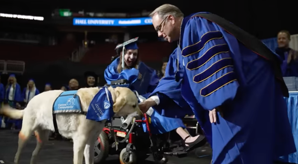 Perrito guía recibió un diploma por acompañar a su dueña en la universidad